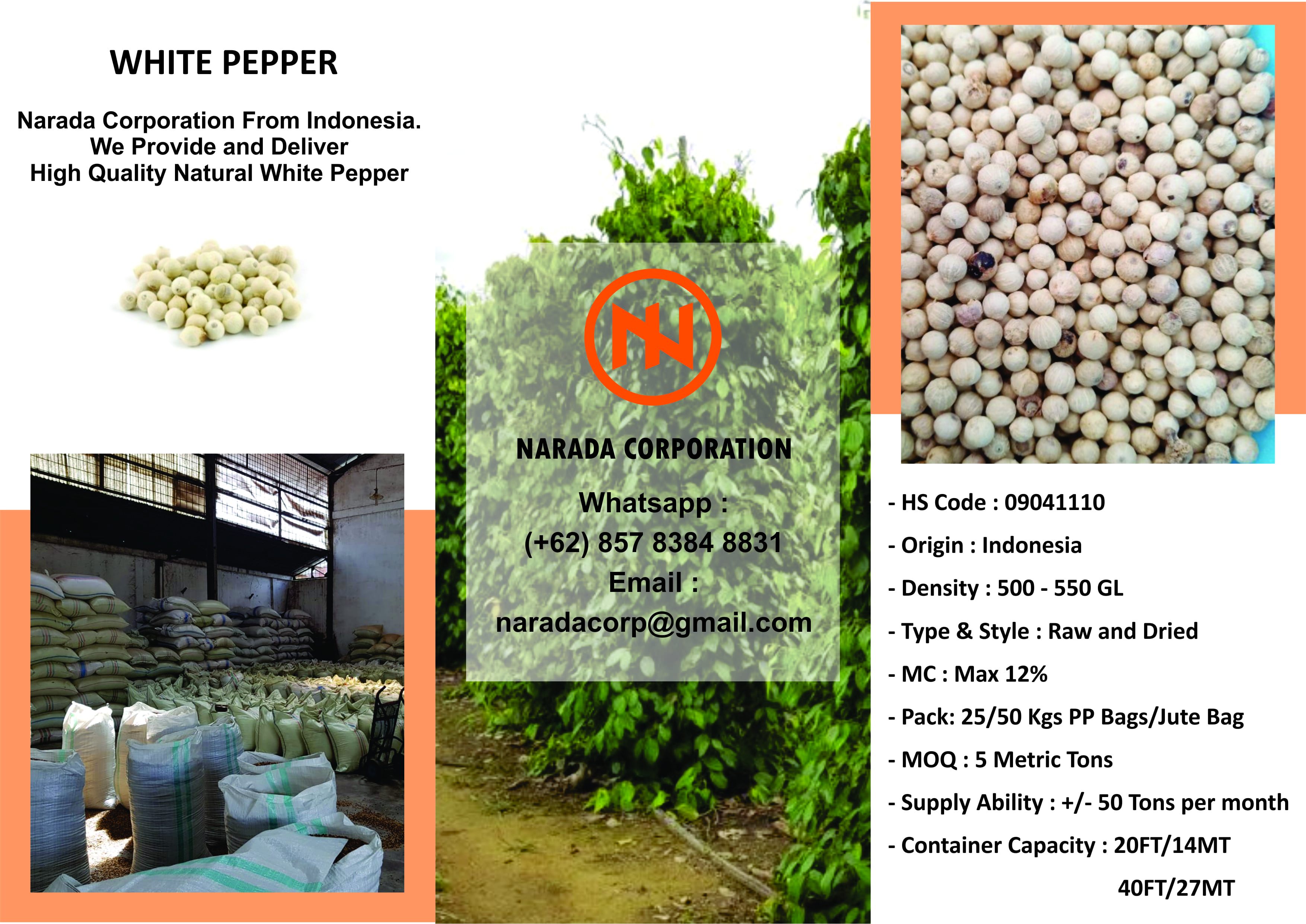 WHITE PEPPER